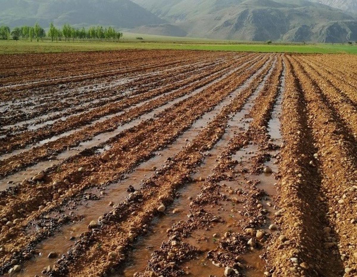 Tunceli&rsquo;de 5 girişimci kadın i&ccedil;in &ccedil;ilek bah&ccedil;esi oluşturuldu