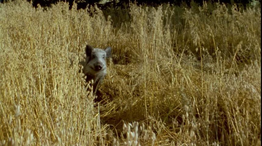 T&uuml;fek bulunduracak &ccedil;ift&ccedil;ilere duyuru