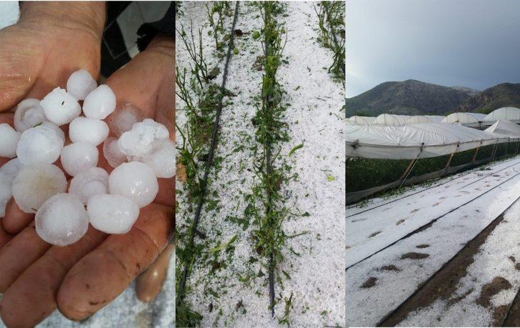 Sağanak ve dolu yağışı tarım arazilerine büyük zarar verdi G2