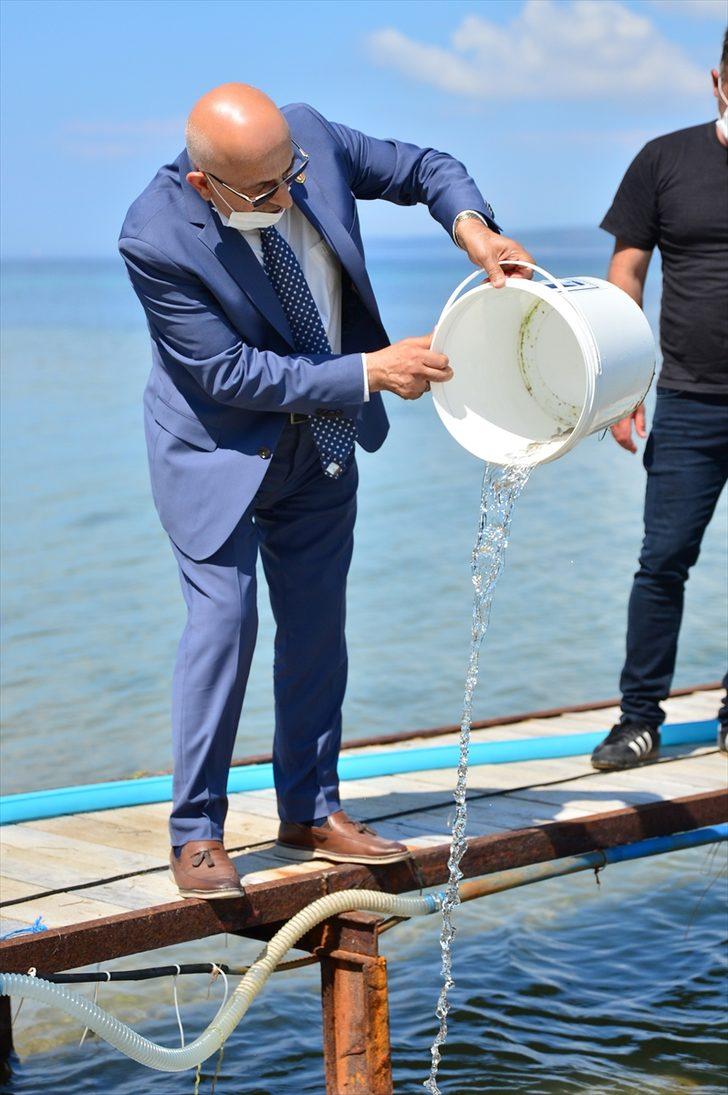 Çanakkale'de 10 bin çipura yavrusu denize bırakıldı G5