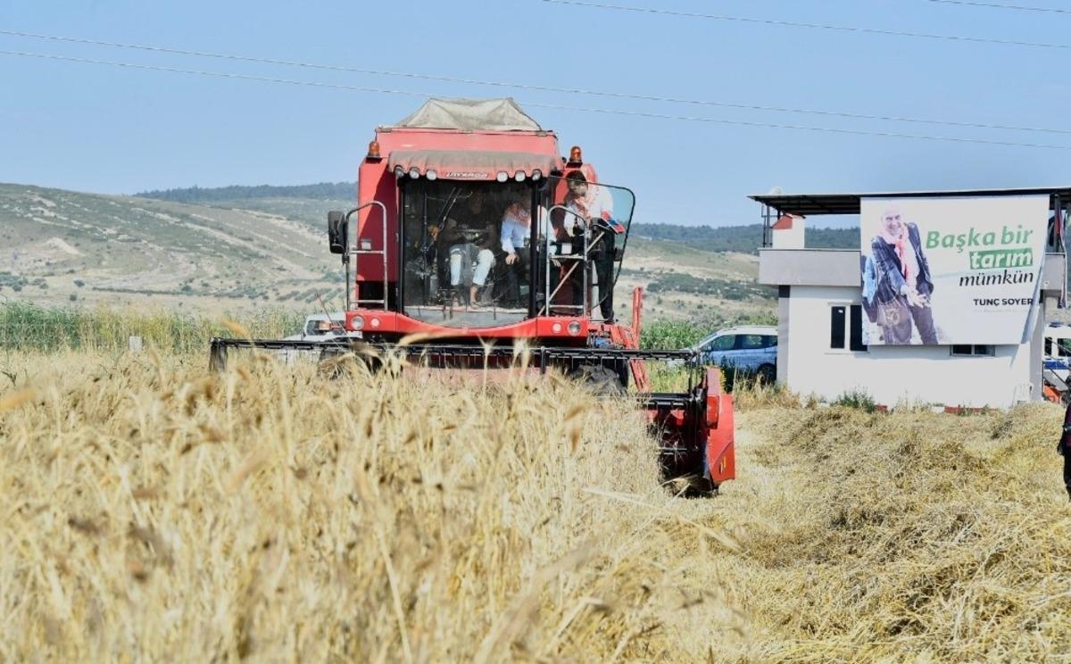 Menemen&rsquo;de hasat bayramı