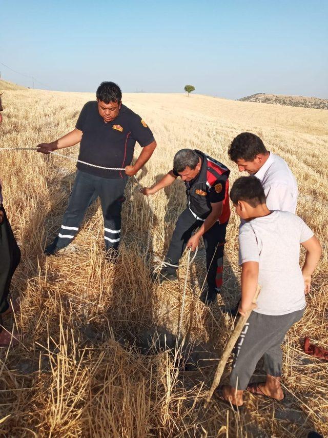 Kuyuya düşen keçiyi itfaiye kurtardı