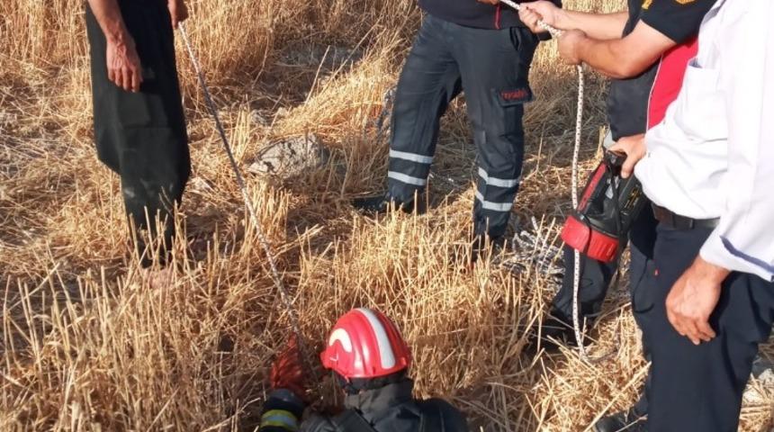 Kuyuya d&uuml;şen ke&ccedil;iyi itfaiye kurtardı