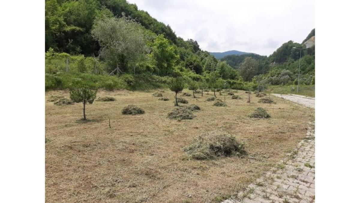 Arıtma tesisi &ccedil;evresine d&uuml;zenleme