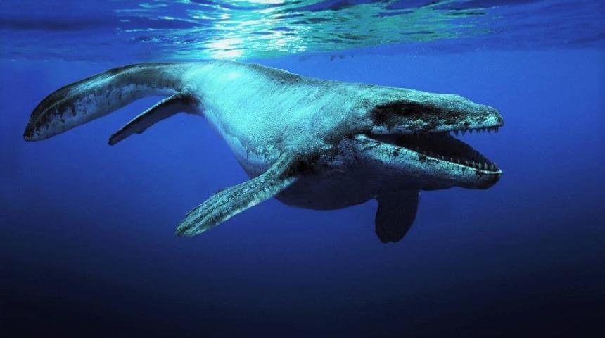 68 milyon yıllık fosil yumurta bir mosazora ait olabilir!