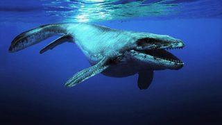 68 milyon yıllık fosil yumurta bir mosazora ait olabilir!