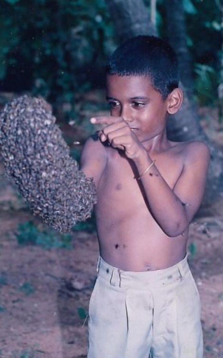 60 bin arıyı kafasında tuttu, rekorlar kitabına girdi! G3