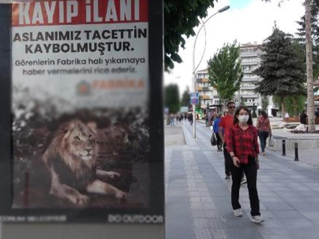 Bu ilan &Ccedil;orum'u karıştırdı: Aslanımız Tacettin kaybolmuştur