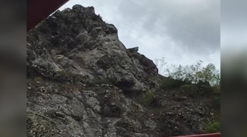 Tokat’ta karacalar yaylalara indi