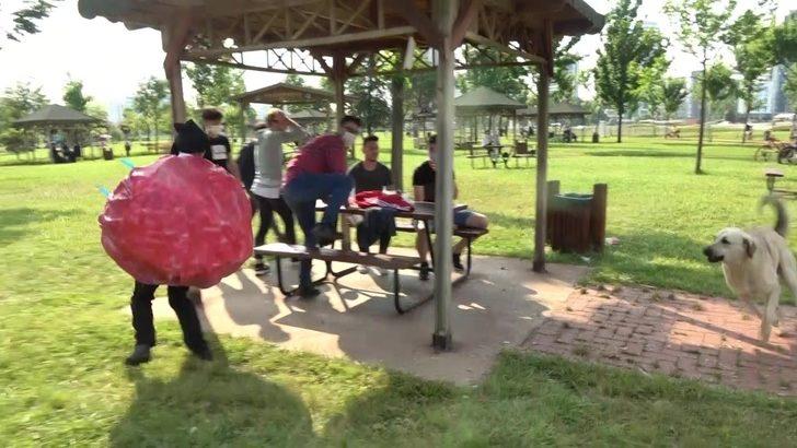 Koronavirüs kılığına girip farkındalık yaratmak isteyen ünlü tiyatrocuyu köpek kovaladı G3