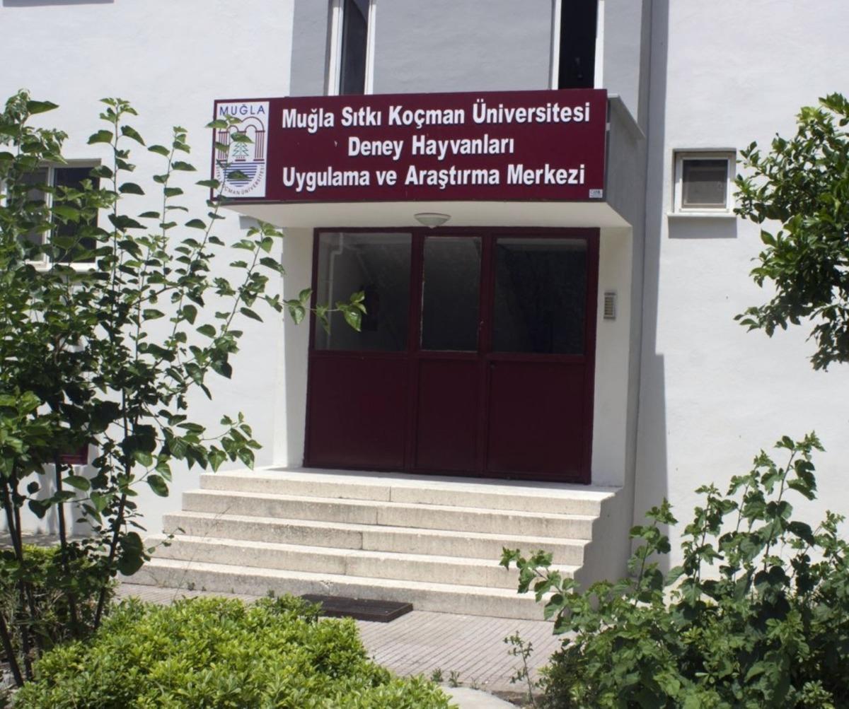 MSK&Uuml;-MUDEM faaliyetlerine başladı