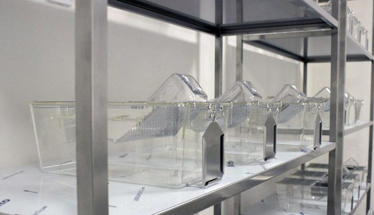 MSKÜ-MUDEM faaliyetlerine başladı G2