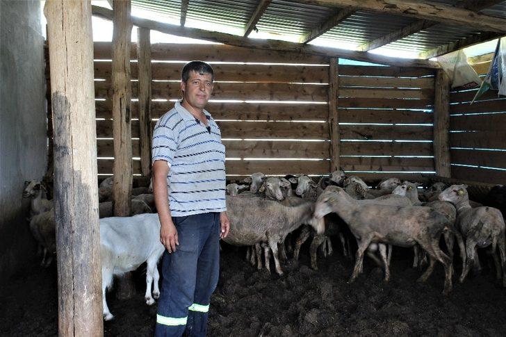 Köylülerin kabusu oldu! Korkudan çocuklarını sokağa çıkarmıyorlar G1