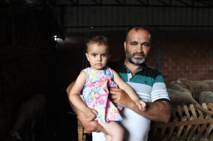 Köylülerin kabusu oldu! Korkudan çocuklarını sokağa çıkarmıyorlar G2