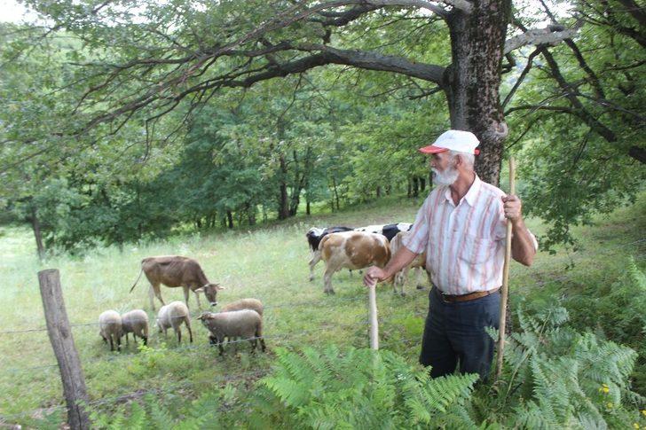 Köylülerin kabusu oldu! Korkudan çocuklarını sokağa çıkarmıyorlar G4