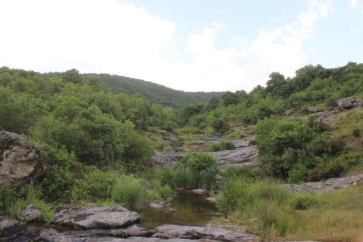 Köylülerin kabusu oldu! Korkudan çocuklarını sokağa çıkarmıyorlar G5