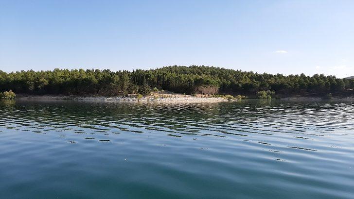 Tekneler ile taşınan eşekler adanın tek sahibi G5