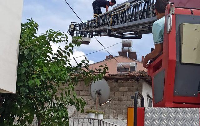 Odun sobası yangına neden oldu