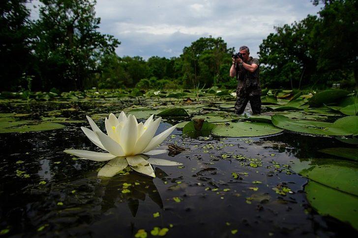 Doğal yaşam böyle görüntülendi! Çiftleşirken kalp olan yusufçukları hiç böyle görmediniz G1