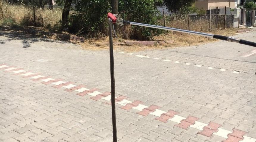 Edremit&rsquo;te yılan paniğe neden oldu