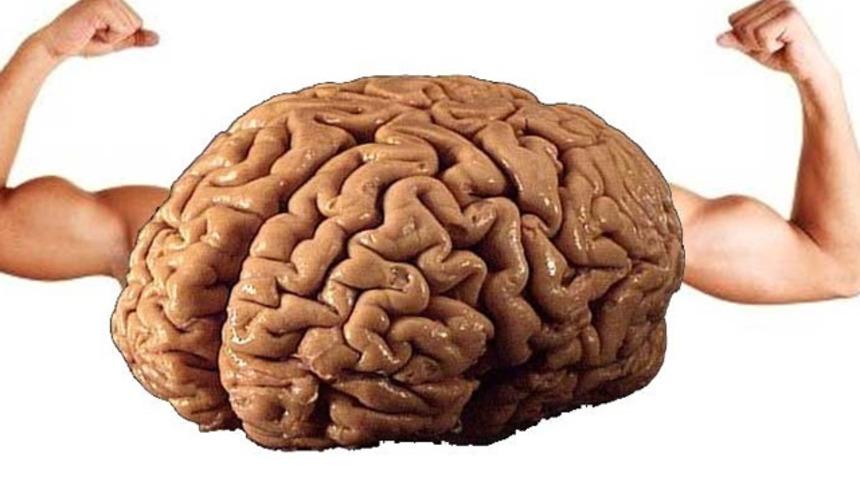 Bu besinler benzedikleri organa iyi geliyor! G&ouml;zlerinize inanamayacaksınız...