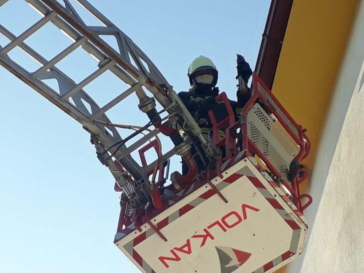 Gelişigüzel atılan cerrahi maske karganın ayağına takıldı G2