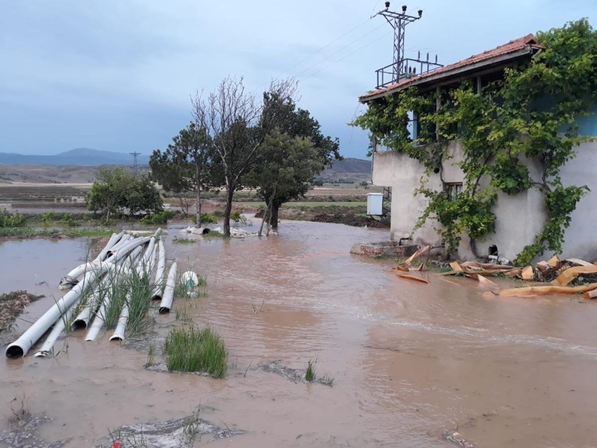 Sağanak yağış &ccedil;eltik tarlalarını vurdu