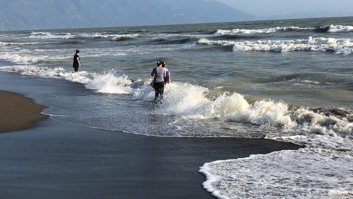 Hatay’da sahile çok sayıda ölü balık vurdu G2