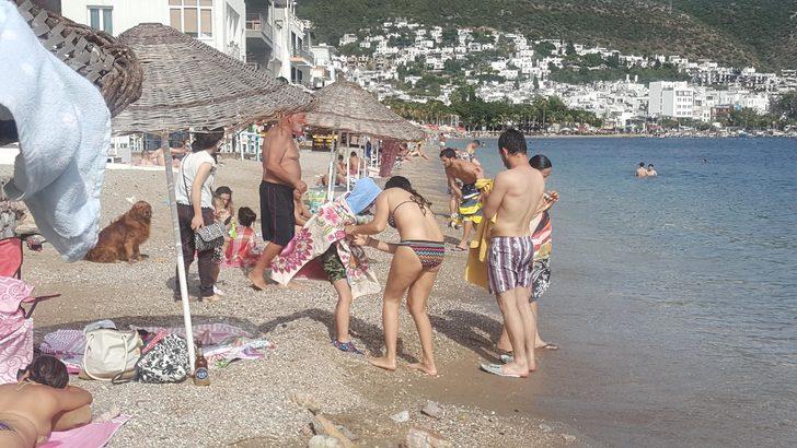 Bodrum'da sahiller hareketlendi! Plajlar sosyal mesafeye göre düzenlendi ama... G4