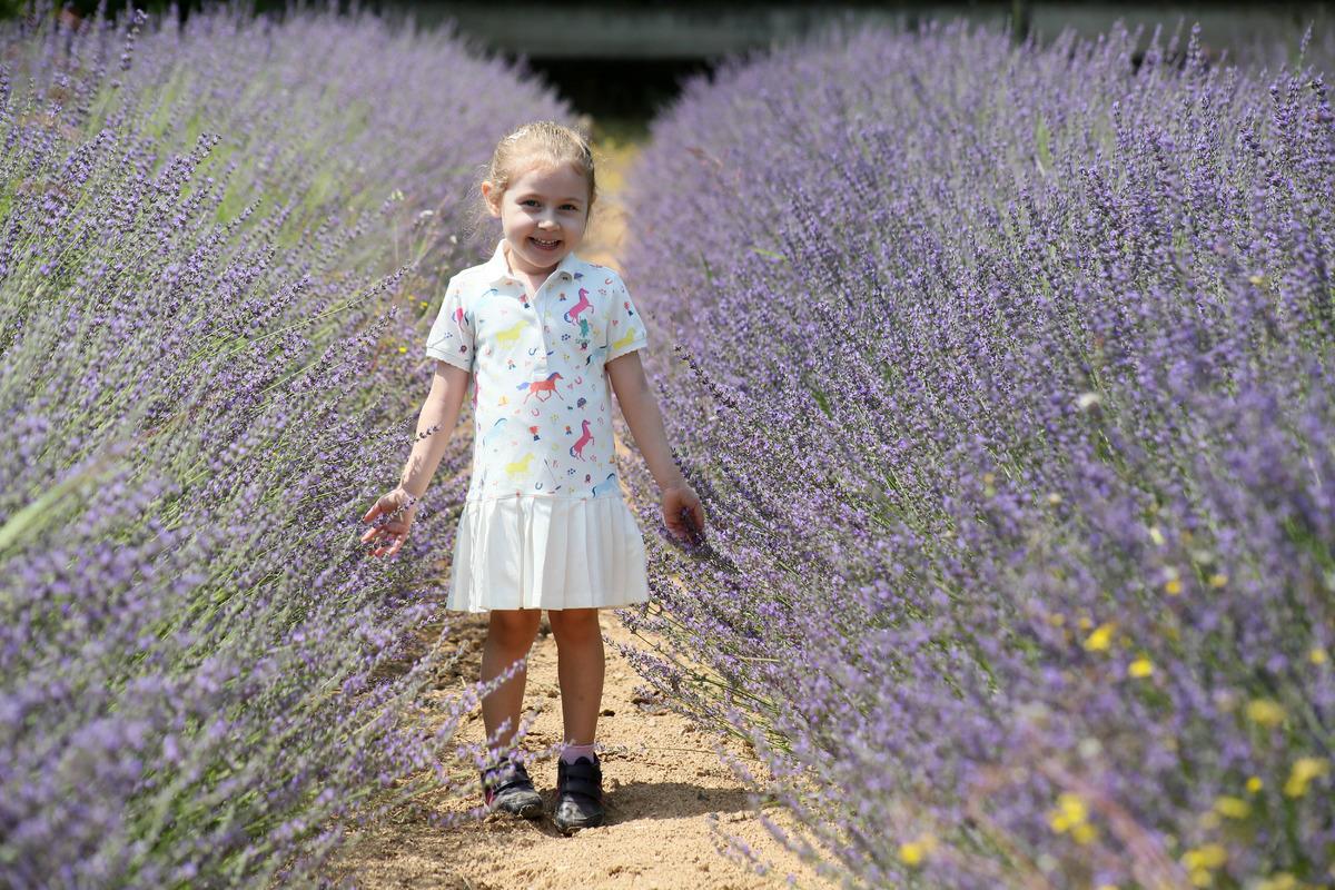 Antalya'da denize 500 metrede lavanta ş&ouml;leni