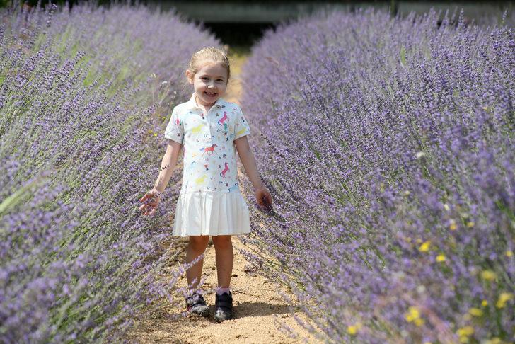 Antalya'da denize 500 metrede lavanta şöleni G1