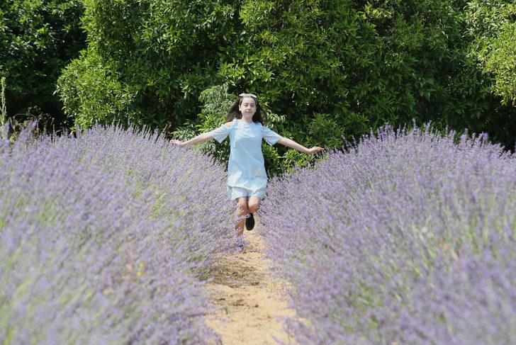 Antalya'da denize 500 metrede lavanta şöleni G3