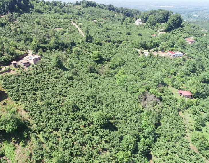 Başka mahalleye kaydedilen mahalleli, 13 yıldır çözüm arıyor G1