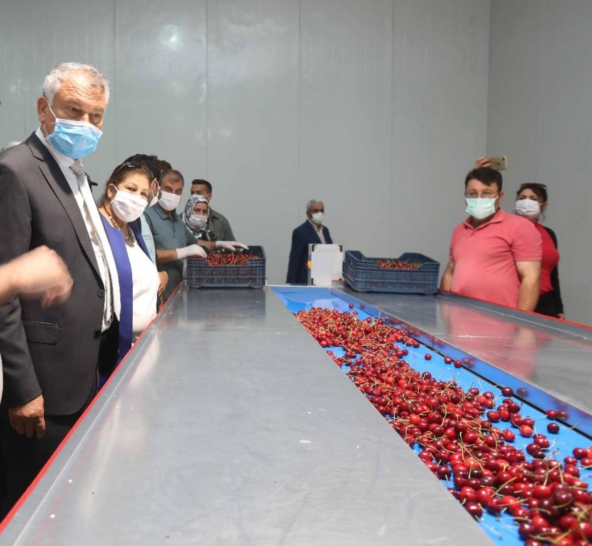 Kiraz &uuml;reticisine destek