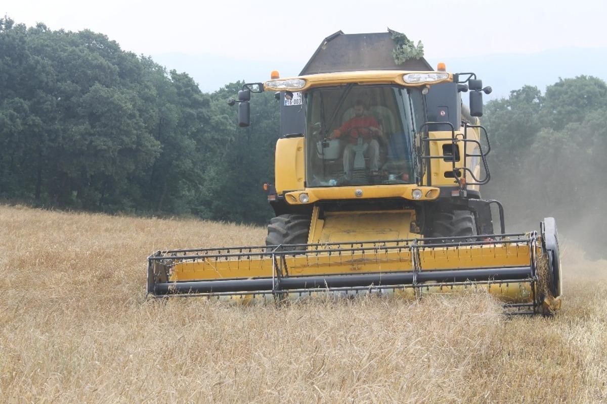 Manyas&rsquo;ta arpa hasadı başladı