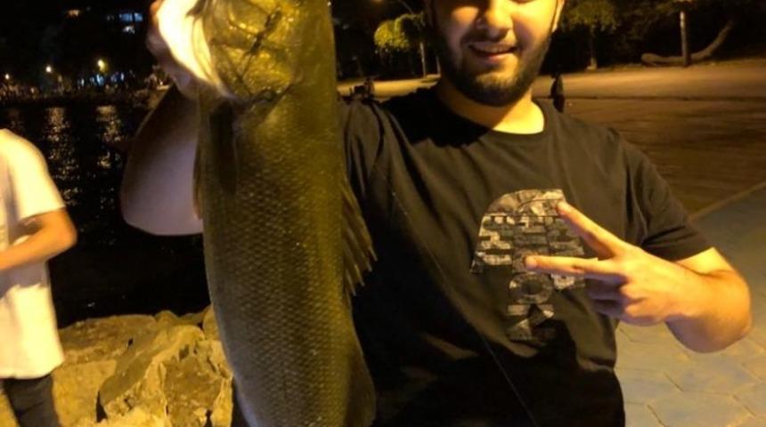 Olta ile 4 kiloluk levrek yakaladı