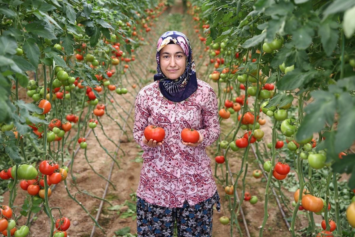 Dolandırıcıların g&ouml;nderdiği mesaj hayatını değiştirdi! İşinin patronu oldu