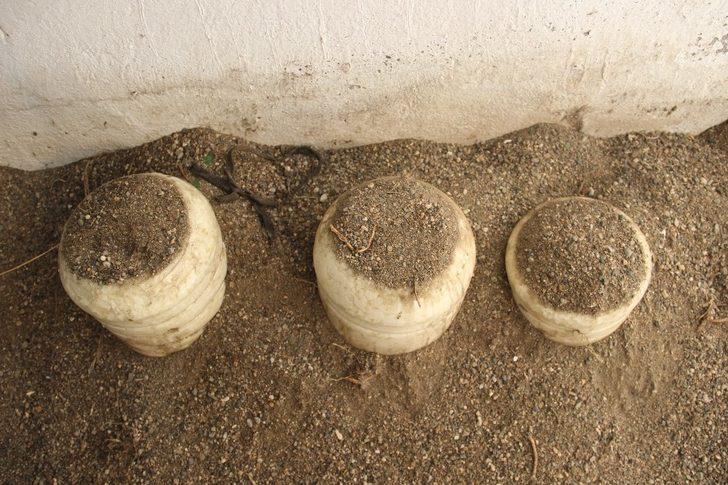 Peynirleri 3-6 ay kuma gömüyorlar, 3 yıl tüketiyorlar G4