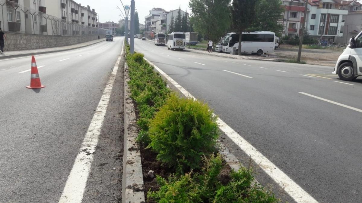 G&ouml;lc&uuml;k&rsquo;te yollar yeşille buluşuyor