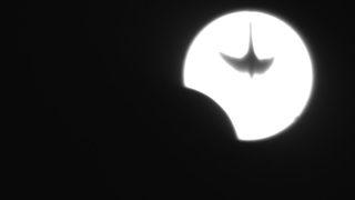 İstanbul'da Güneş tutulması