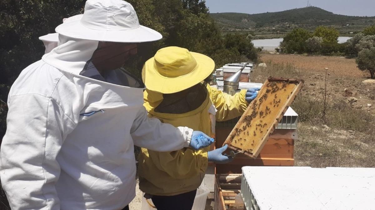 Milletvekili Bekle&rsquo;den bal hasadı