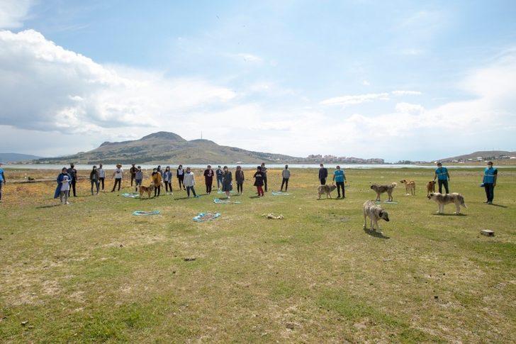 İpekyolu Belediyesi ve Haçiko Derneğinden sokak hayvanlarına mama desteği G1