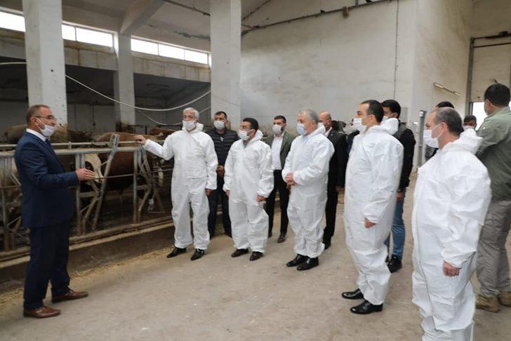 Vali Öksüz, Modern Besi Çiftliği ve Kesimhanesinde İncelemelerde bulundu G3