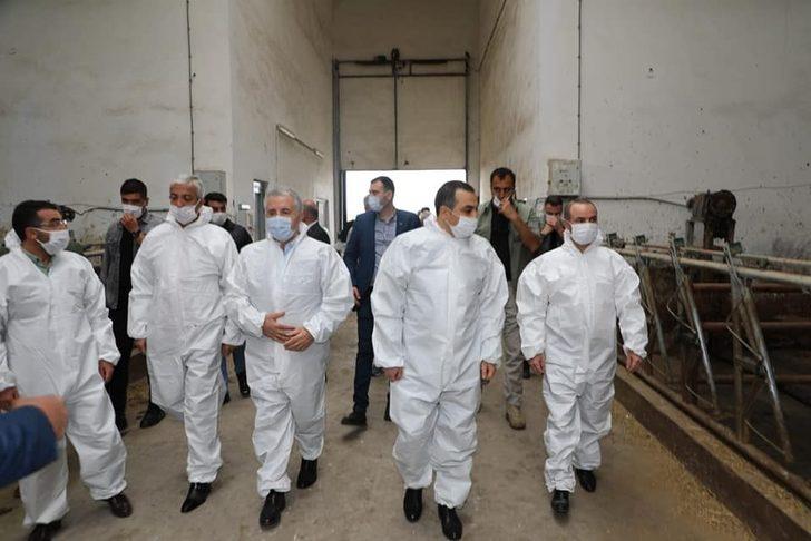 Vali Öksüz, Modern Besi Çiftliği ve Kesimhanesinde İncelemelerde bulundu G4