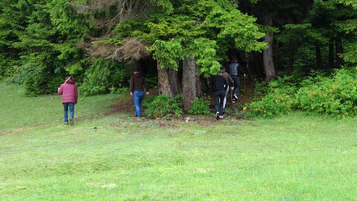 Karadeniz’de popülasyonu artan ayılar korkutuyor G2