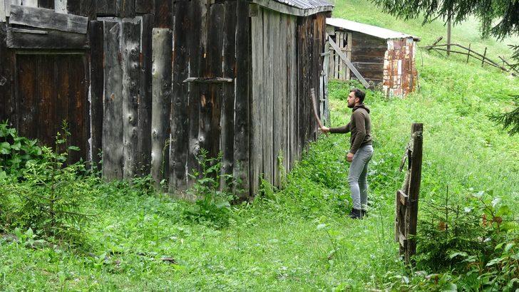 Karadeniz’de popülasyonu artan ayılar korkutuyor G4