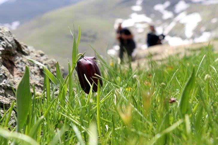 Ölmeden önce görülmesi gereken yerler arasında gösteriliyor!  Görenler kendini başka bir gezegende hissediyor G2