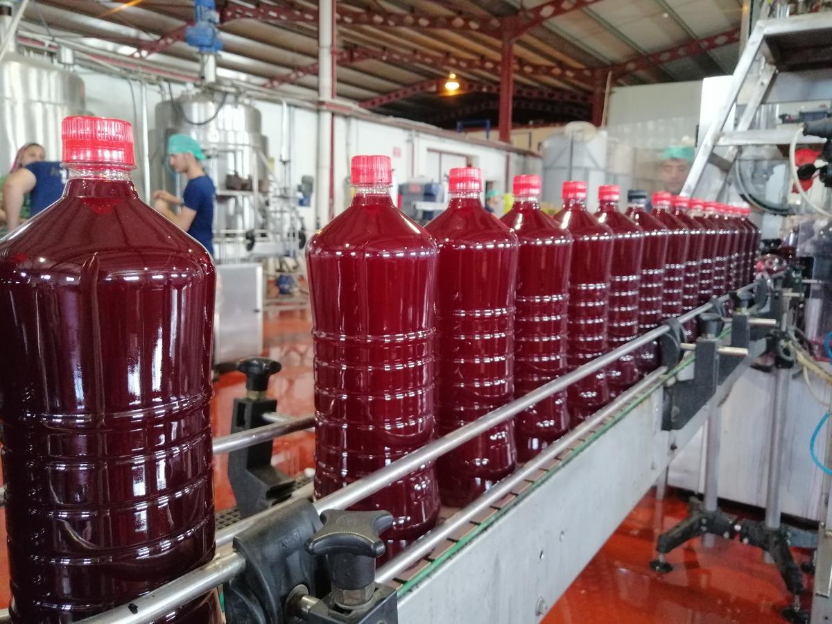 Koronavir&uuml;s ve tescil, şalgam ihracatını arttırdı