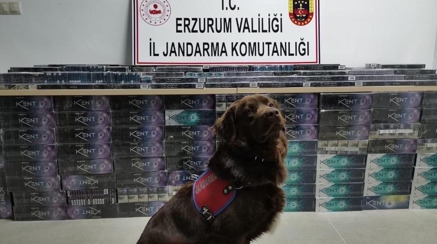 Erzurum&rsquo;da 5 bin 200 paket ka&ccedil;ak sigara ele ge&ccedil;irildi