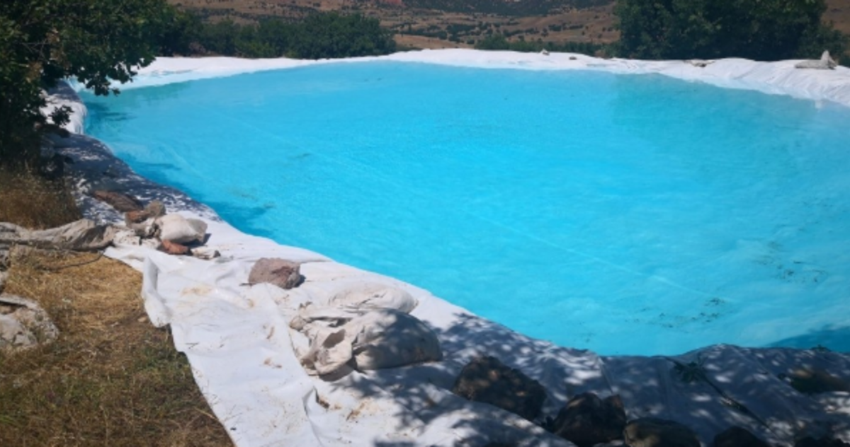 Diyarbakır'da son dakika operasyon haberi: 7 milyon 571 bin 62 k&ouml;k Hint keneviri ele ge&ccedil;irildi